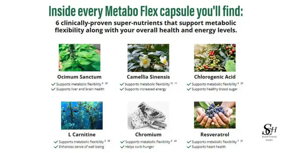 Metabo Flex Ingredients 